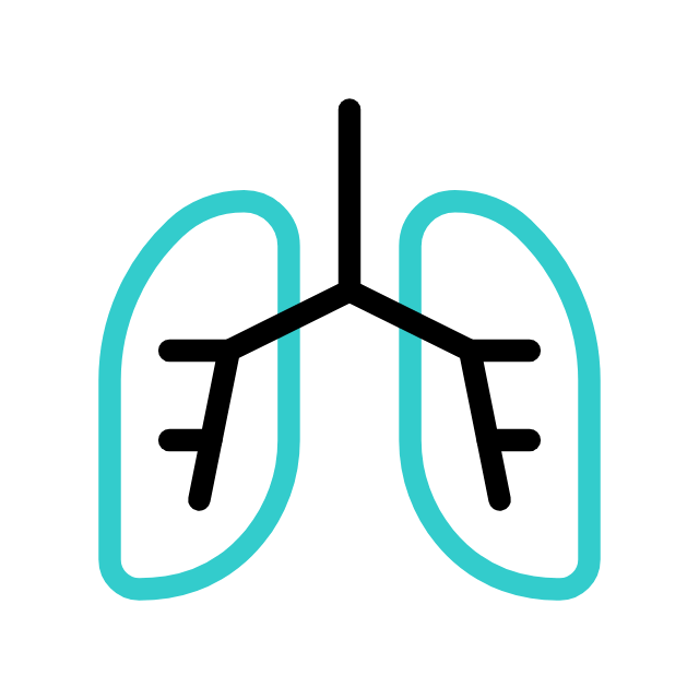 Pulmonology icon